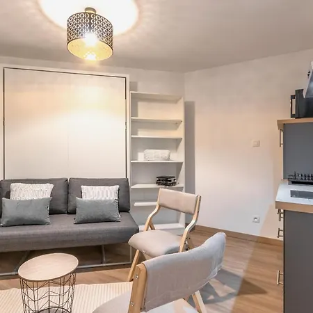 Lachenal - Centre - Navette De - Balcon 아파트